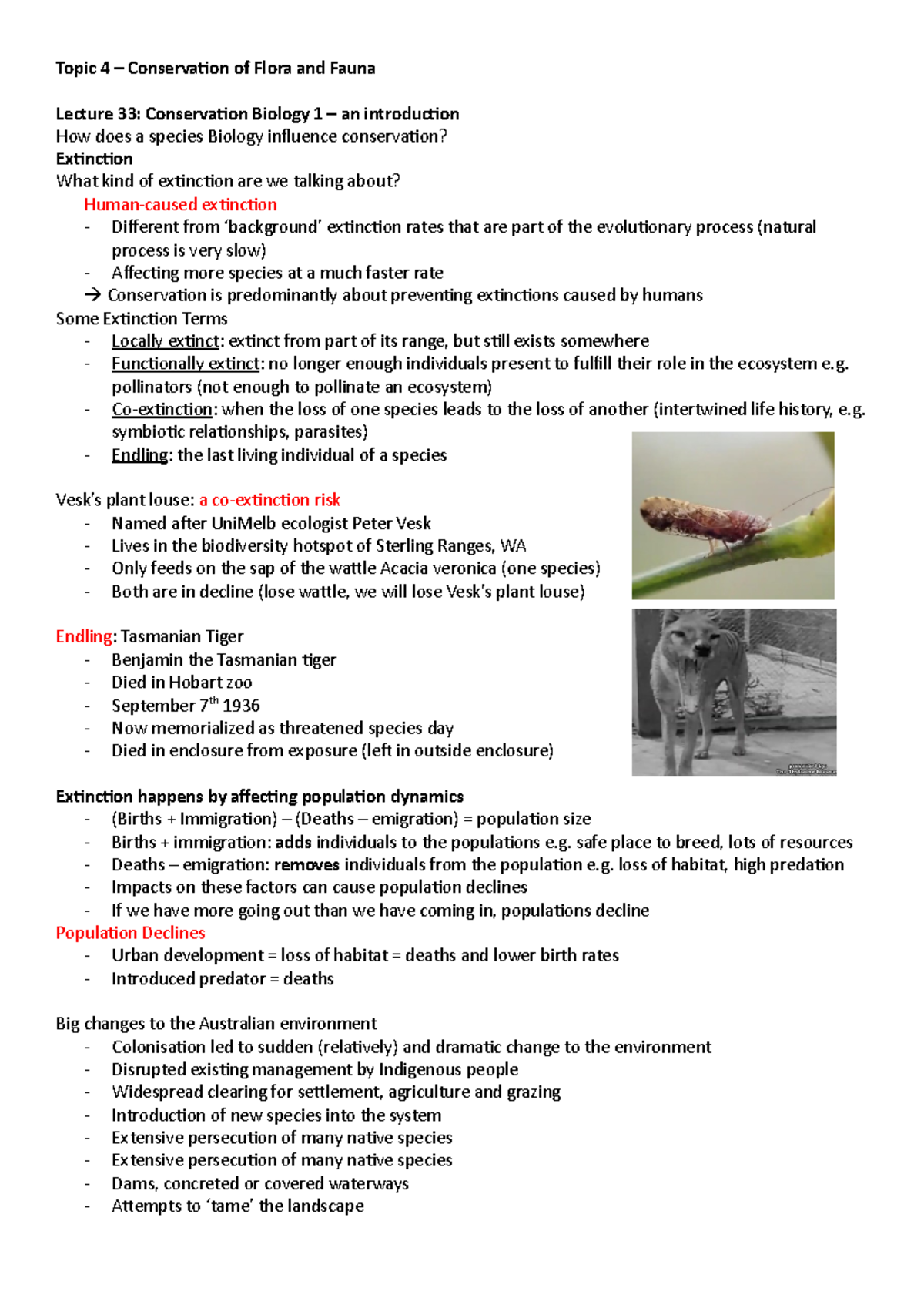 conservation of flora essay