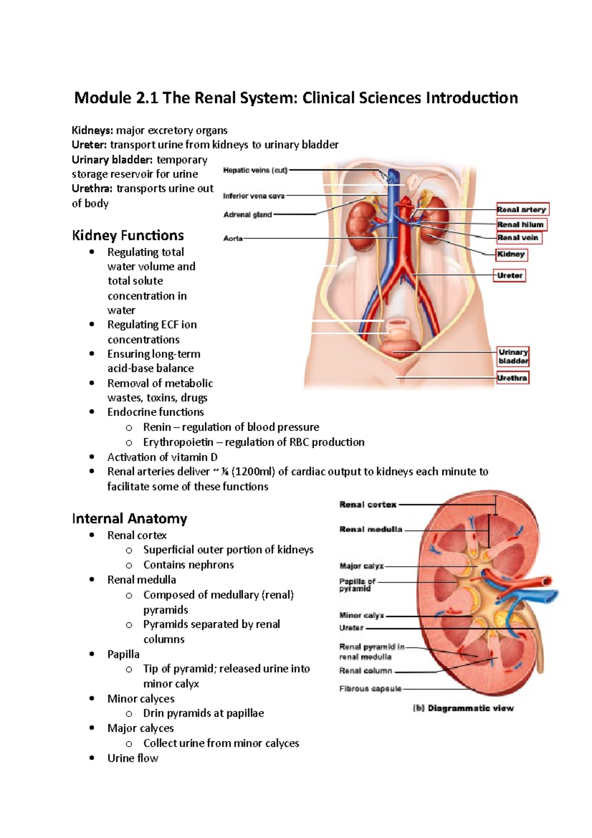 Module 2.1 Lecture Notes - Module 2 The Renal System: Clinical Sciences ...