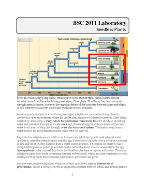 2 - Evolution and Hardy Weinberg Equilibrium - Student-2 - Introduction ...