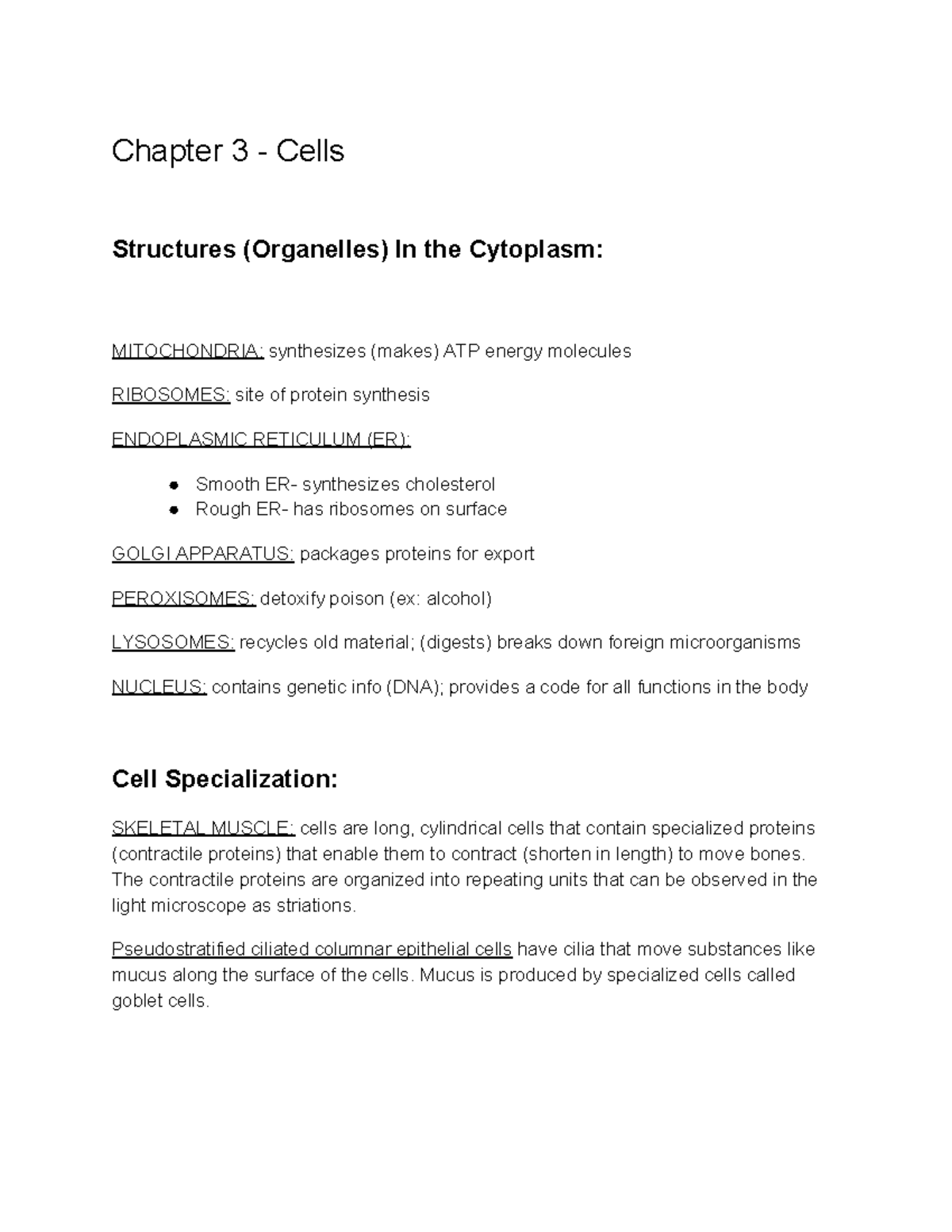 Chapter 3 - Cells - important key notes for exams - Chapter 3 - Cells ...
