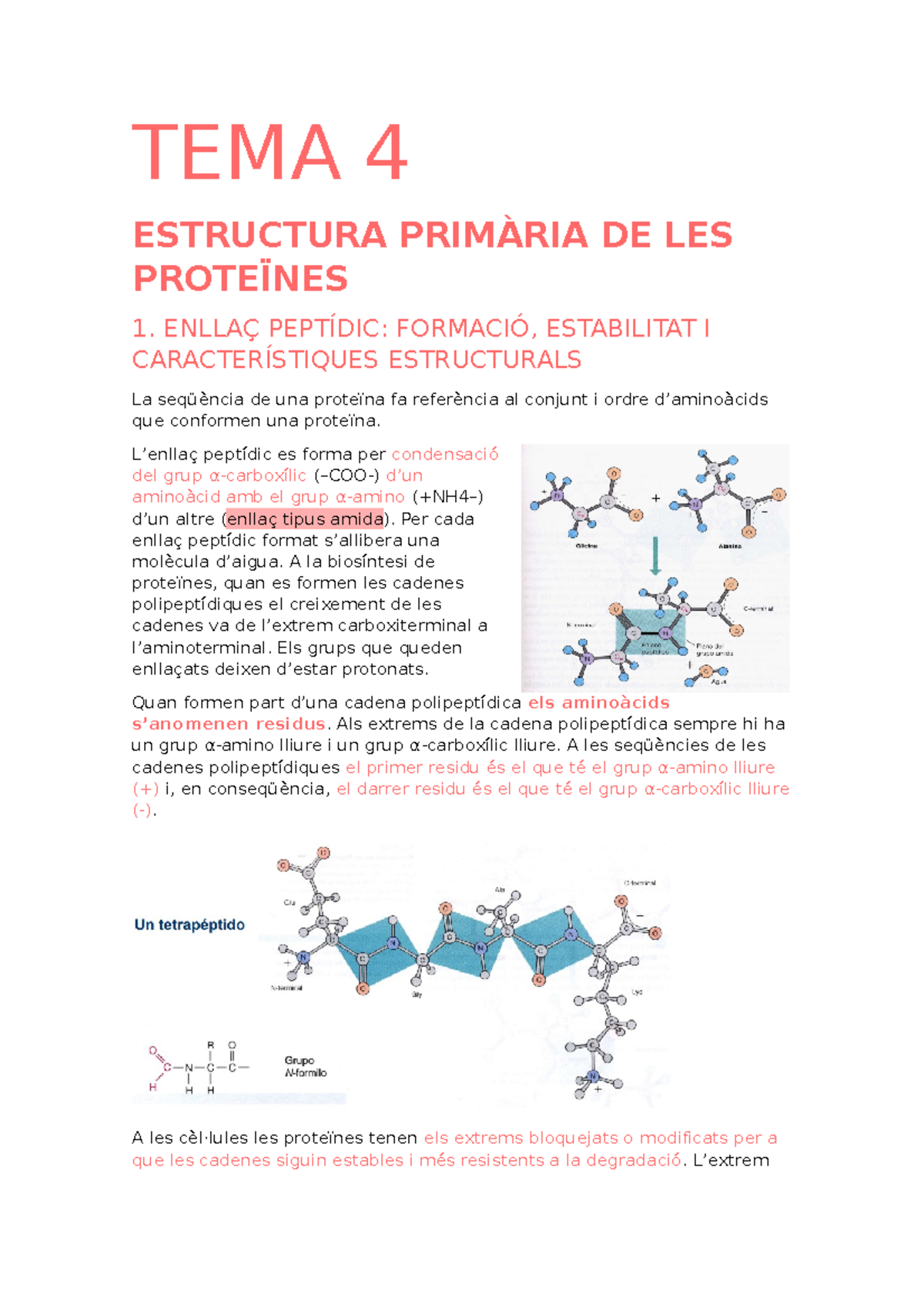 TEMA 4 - TEMA 4 - TEMA 4 ESTRUCTURA PRIMÀRIA DE LES PROTEÏNES 1. ENLLAÇ ...