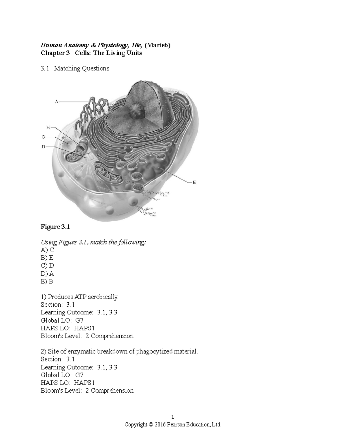 ch-03-test-bank-practice-material-human-anatomy-physiology-10e