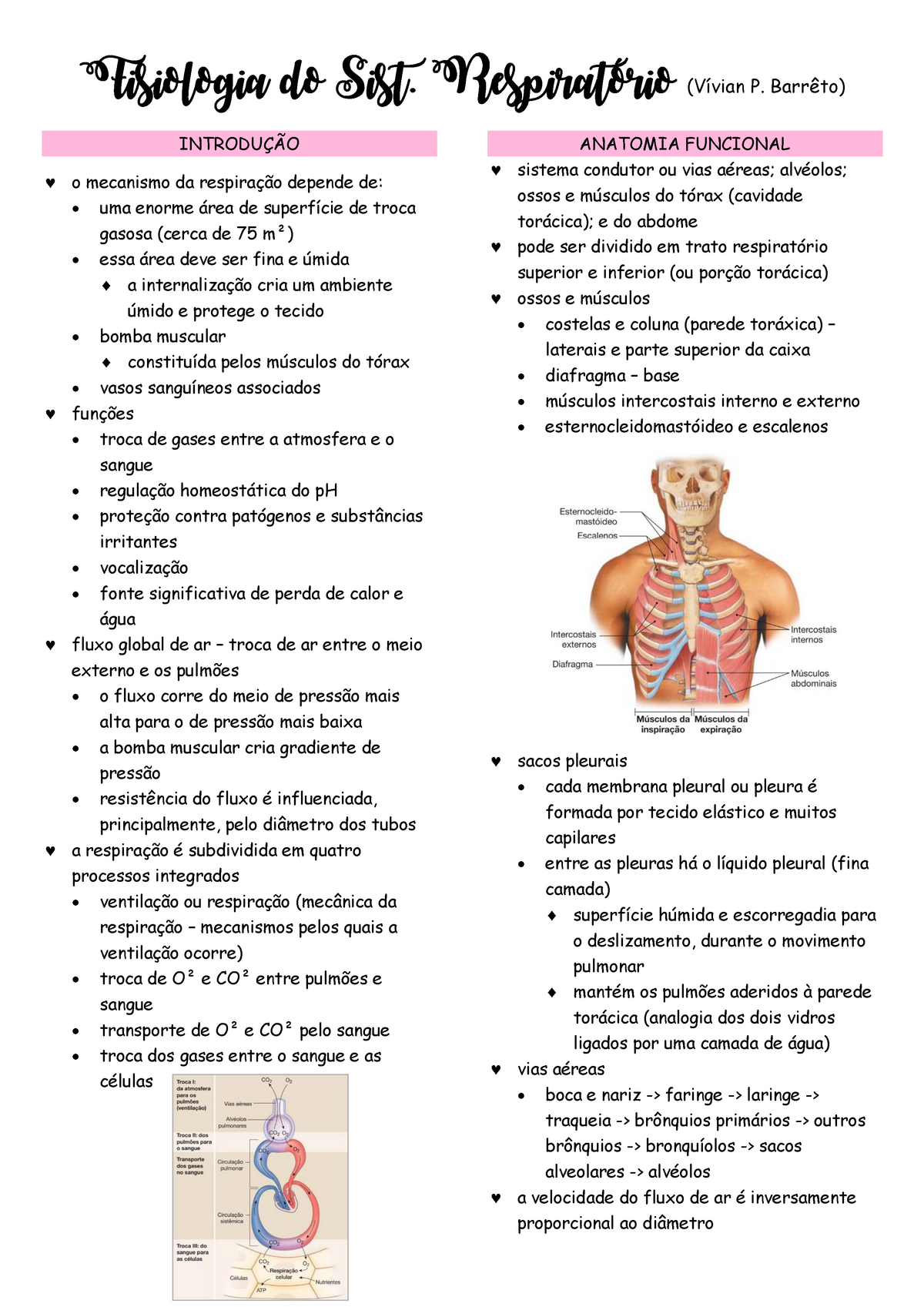 Fisiologia Da Respiração - Fisiologia Do Sist. Respiratório (Vívian P ...