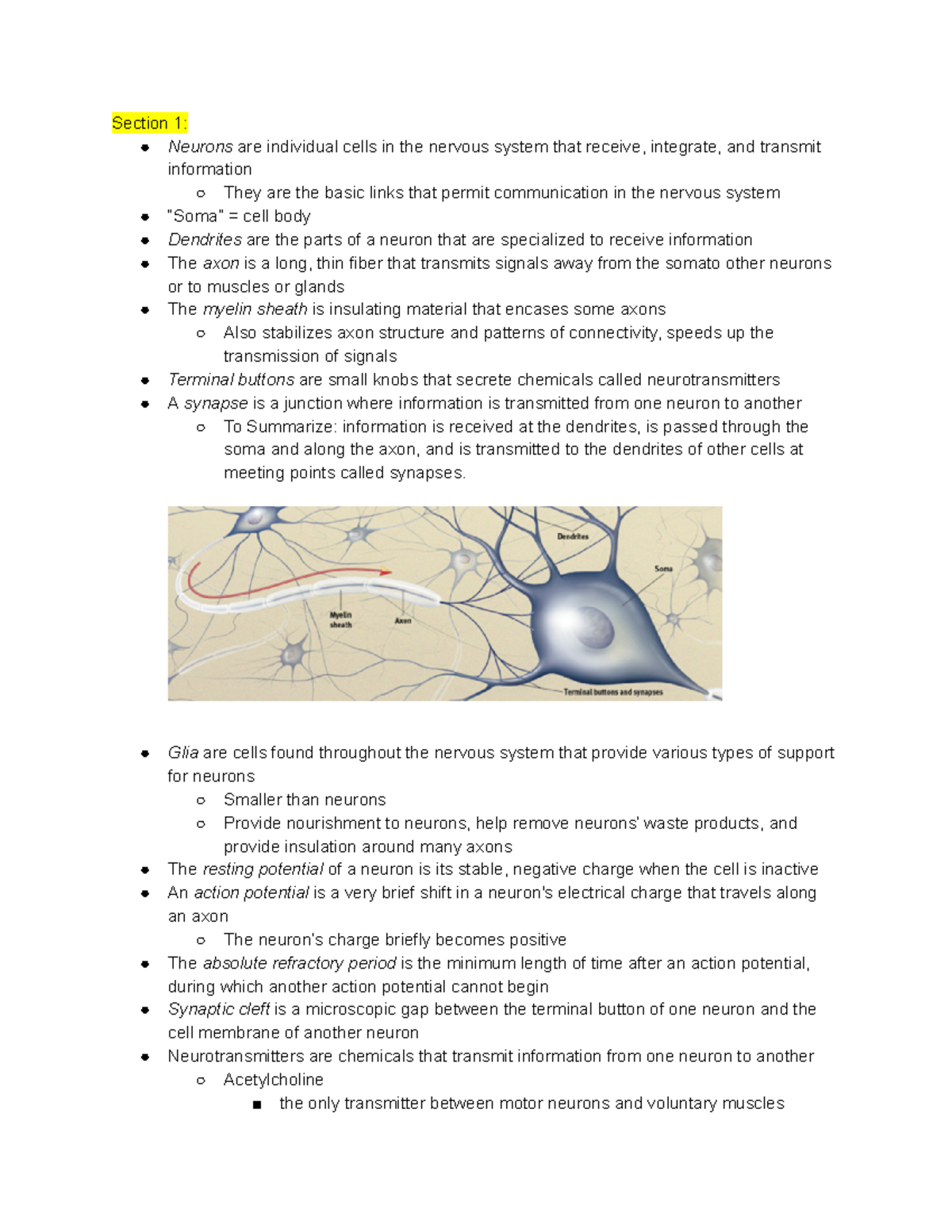 Chapter 3 Sections 1-10 - Section 1: Neurons Are Individual Cells In ...