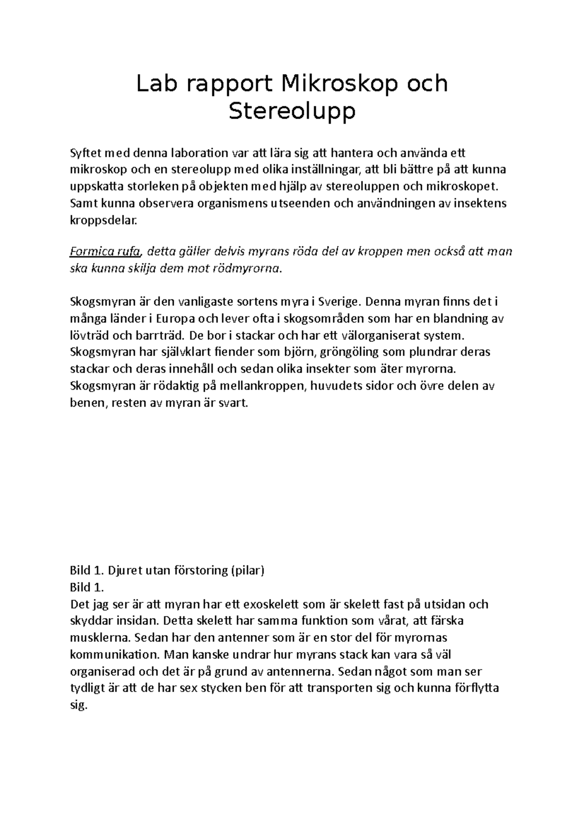 Biologi Labbrapport 1 - Lab Rapport Mikroskop Och Stereolupp Syftet Med ...