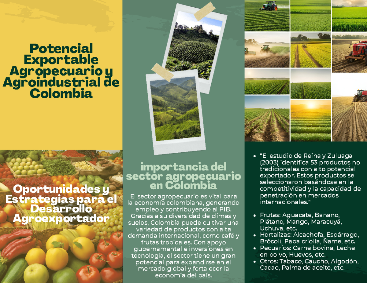 Canasta de Productos No Tradicionales - Potencial Exportable ...