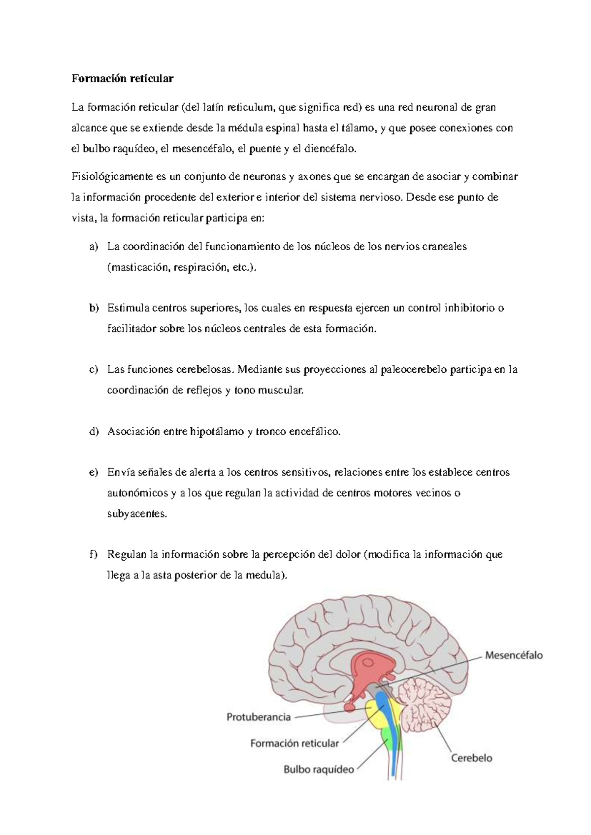 Formación reticular Generalidades - Formación reticular La formación ...