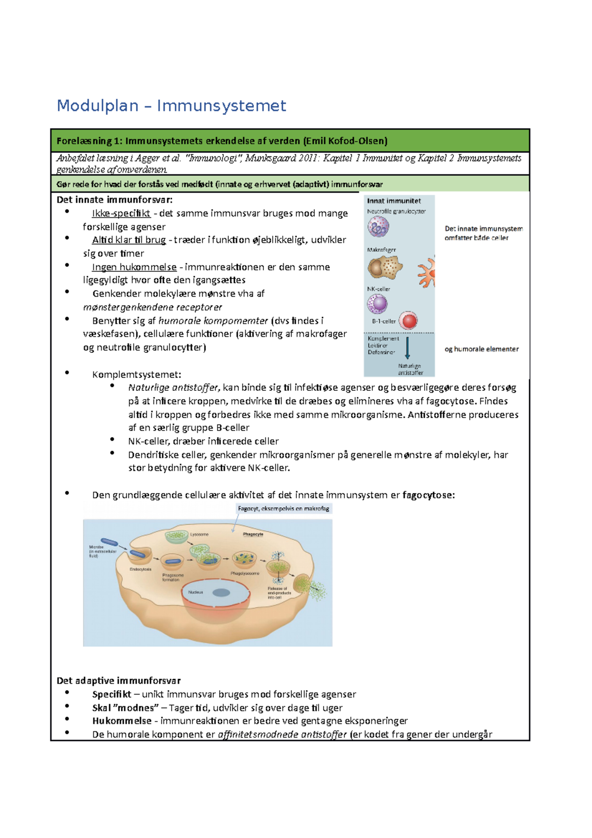 Modulplan - Immunsystemet - Modulplan – Immunsystemet Forelæsning 1 ...