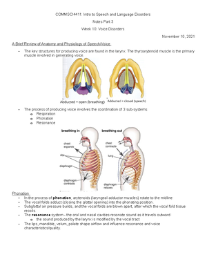 Adapted IPA Chart Consonants - Adapted IPA Chart (Anthro 1027 ...