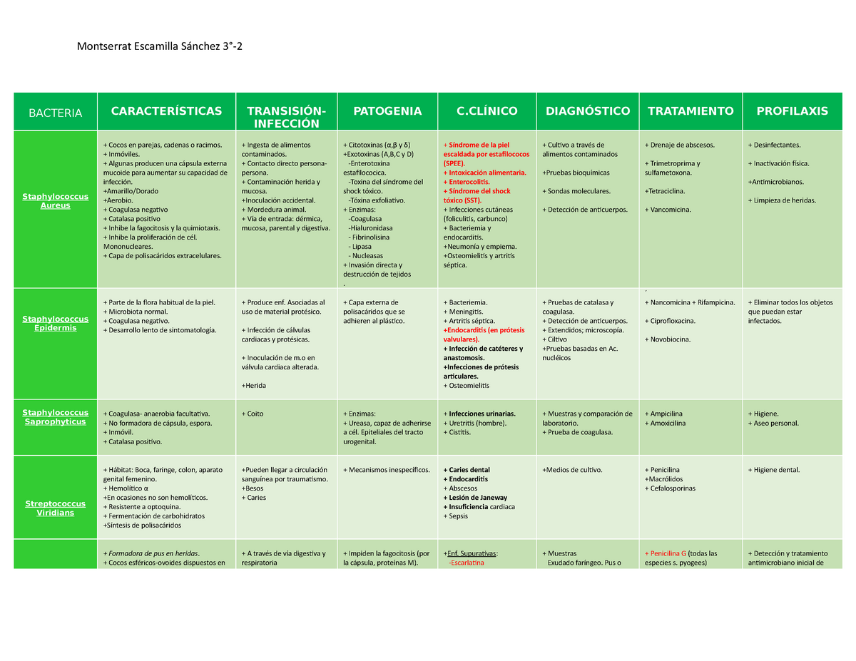 Bacterias Cuadro Apuntes Montserrat Escamilla S Nchez