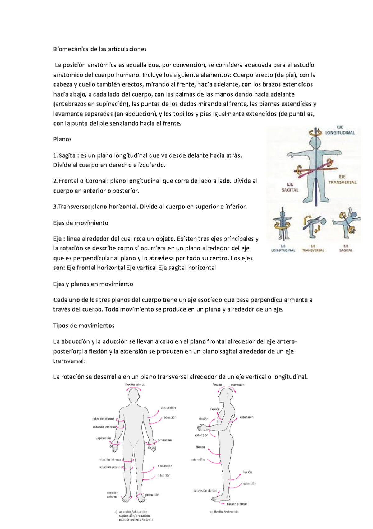 Biomecánica De Las Articulaciones - Biomecánica De Las Articulaciones ...