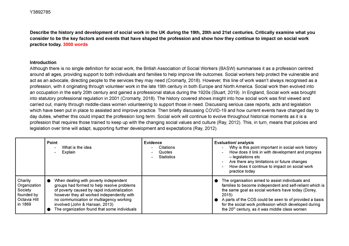 social-work-plan-final-describe-the-history-and-development-of