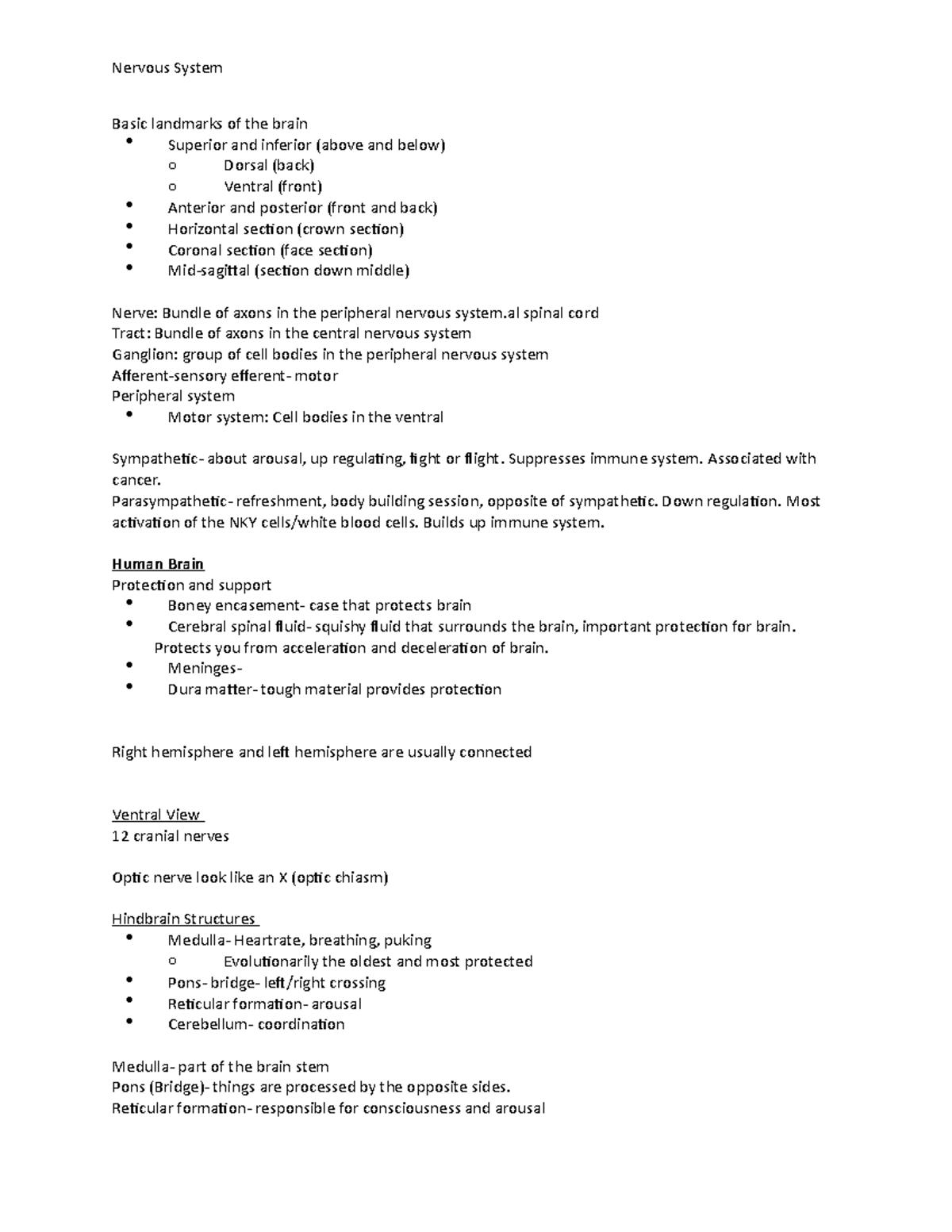 Nervous system notes - Nervous System Basic landmarks of the brain ...