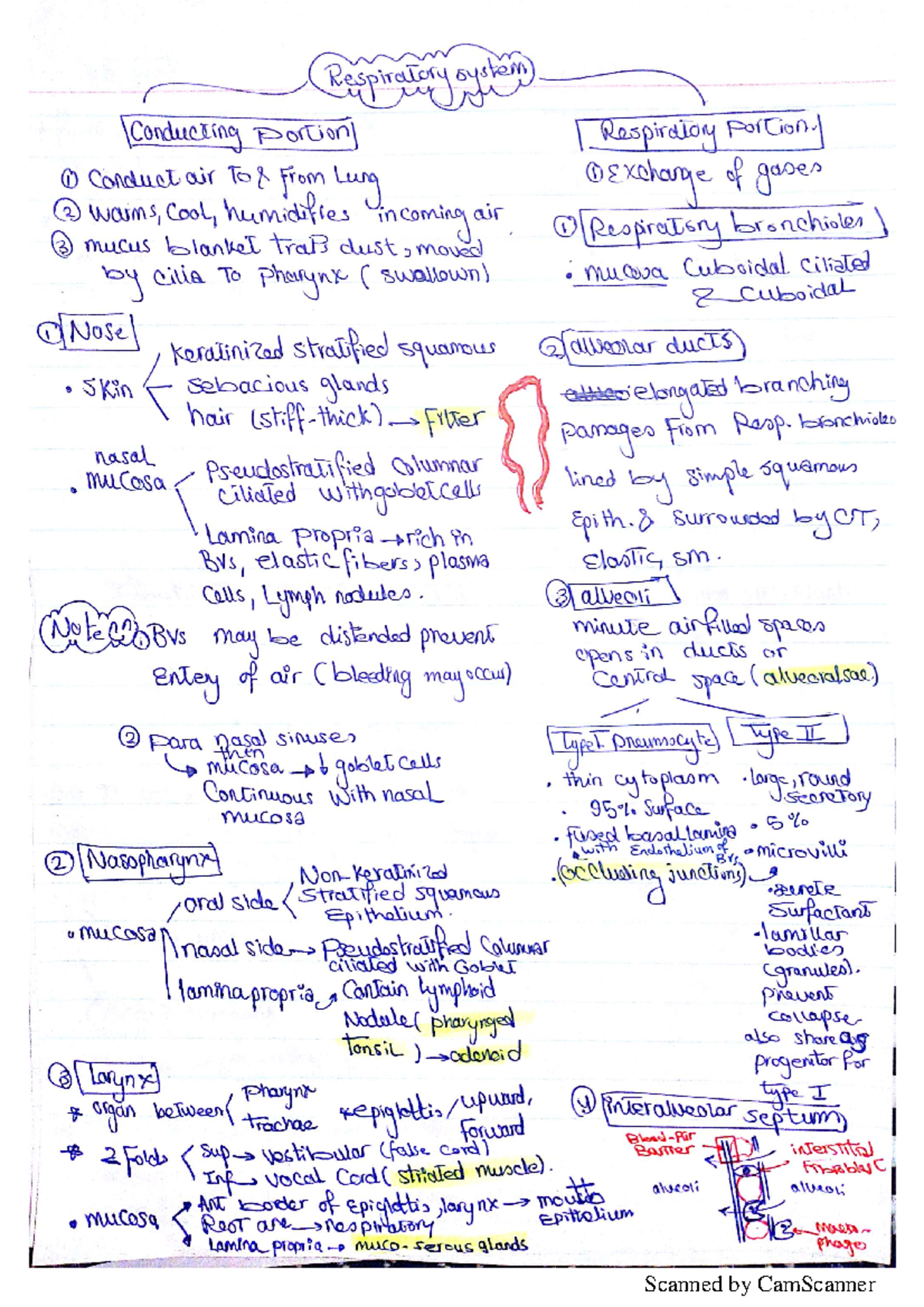 Histo resp mod 13 - physiology pathology - Scanned by CamScanner ...