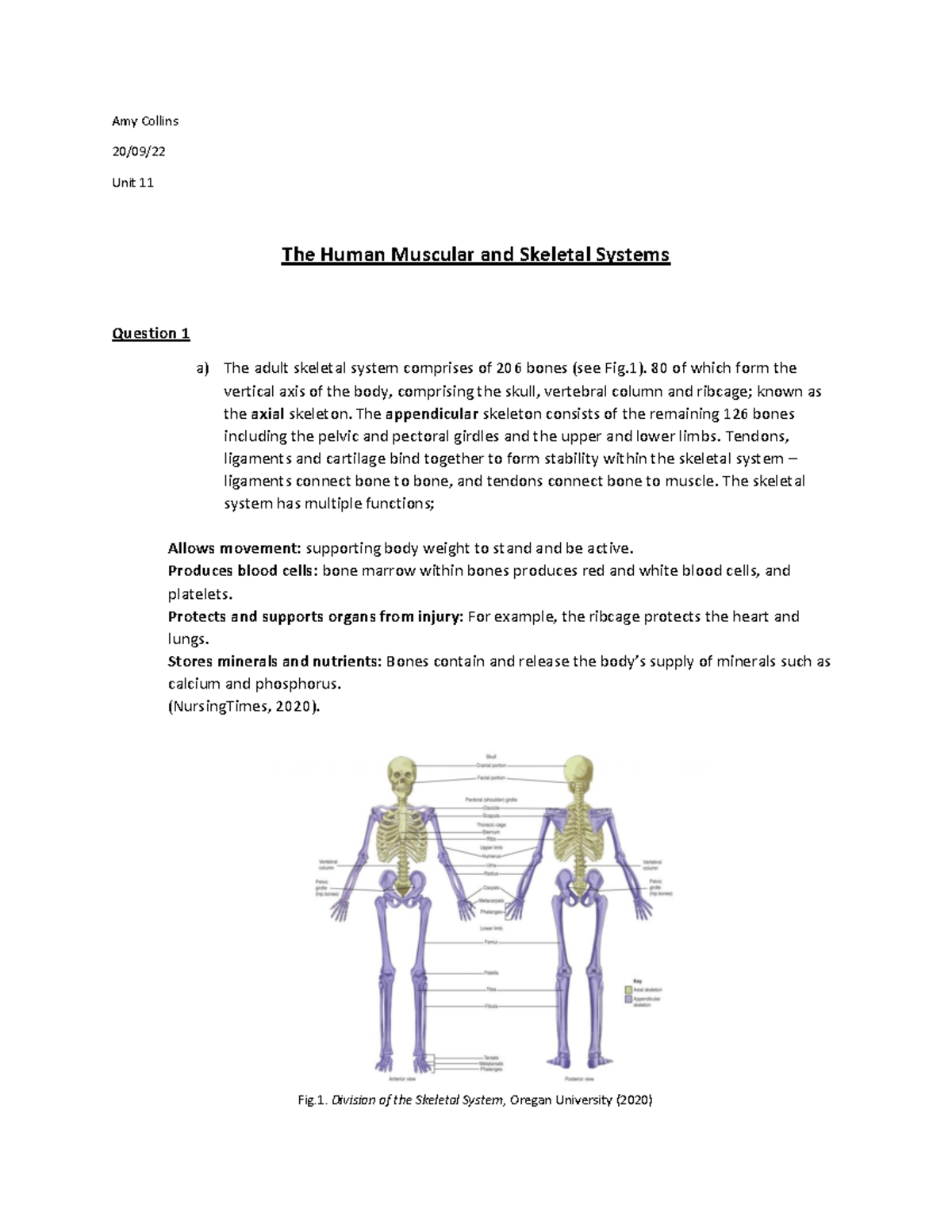 Skeletal system - received distinction - Amy Collins 20/09/ Unit 11 The ...
