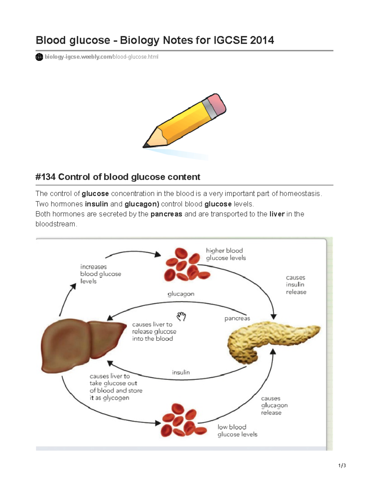glucose Biology Notes for Igcse 2014