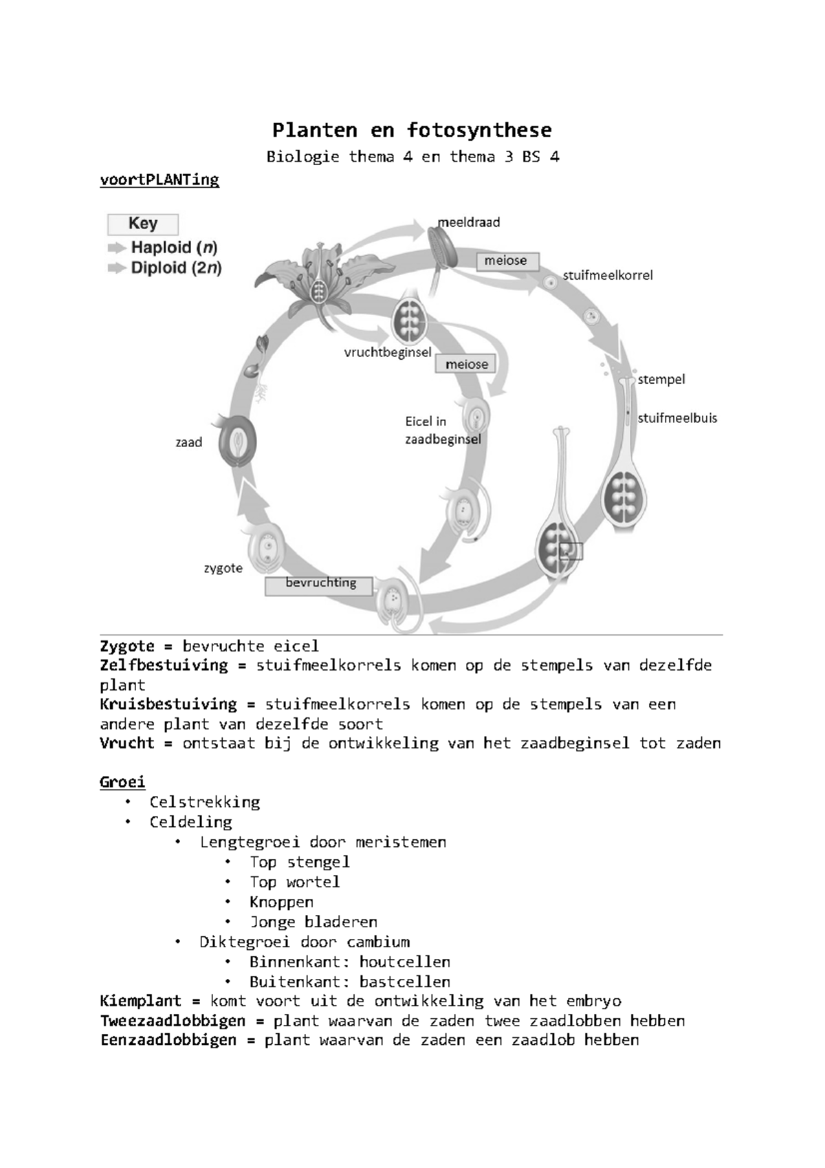 Samenvatting Biologie Voor Jou Thema 4 En Thema 3 BS 4 - Planten En ...