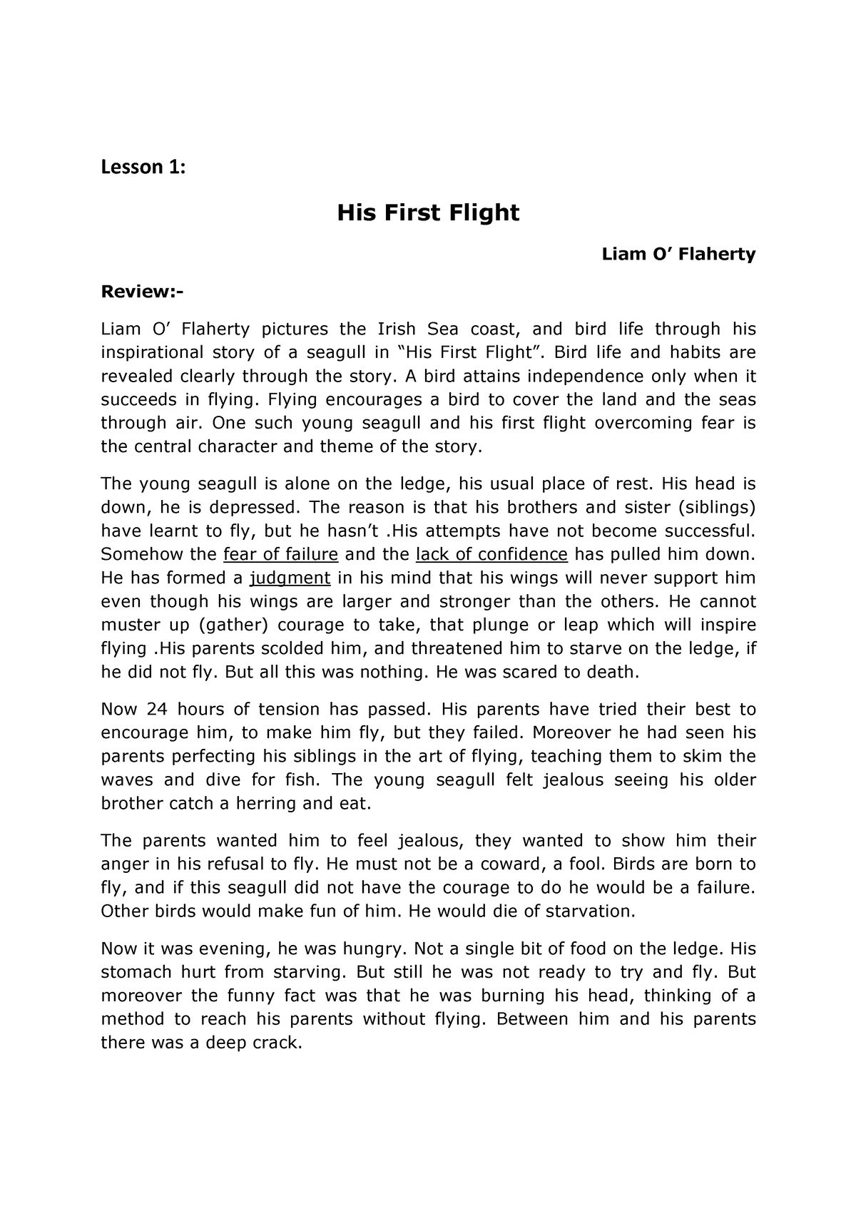 lesson-1-his-first-flight-lesson-1-his-first-flight-liam-o-flaherty