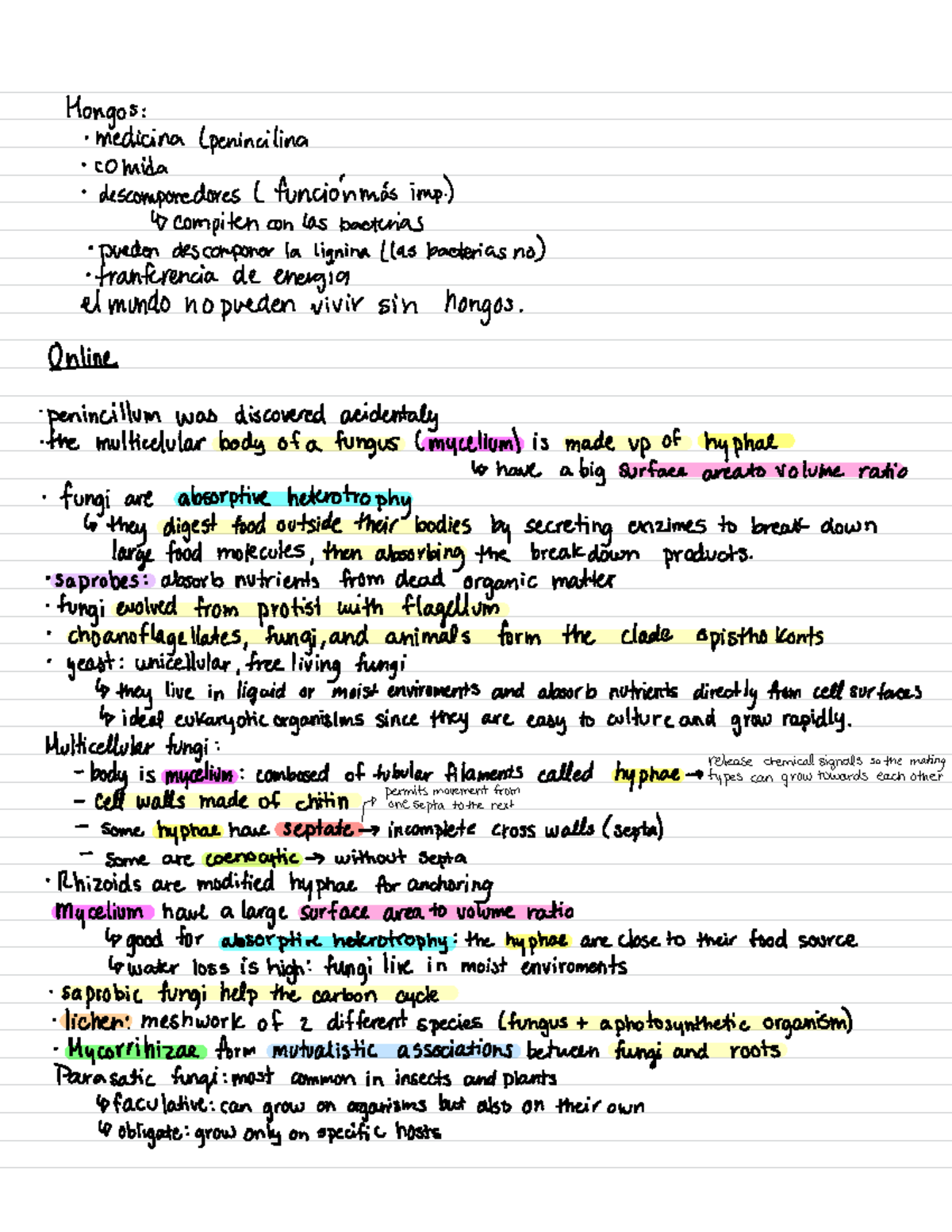 Examen 2 BIOL 3052 - ####### Mongos : Medicina lpenincilina des ...