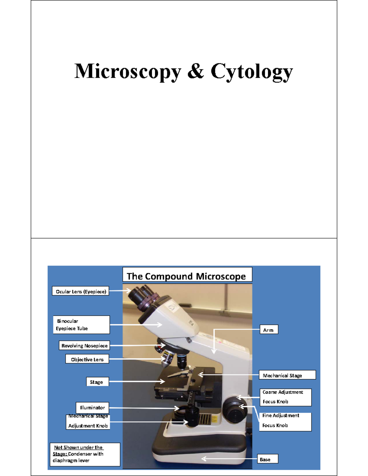 Cell structure slides Microscopy & Cytology The Compound Microscope