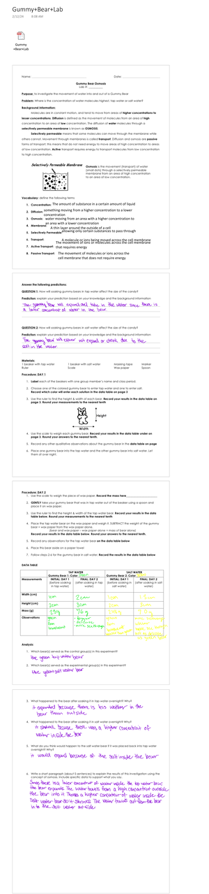 Cell Membrane Bubble Lab+%283%29 - Cell- Membran... Cell-Membrane ...