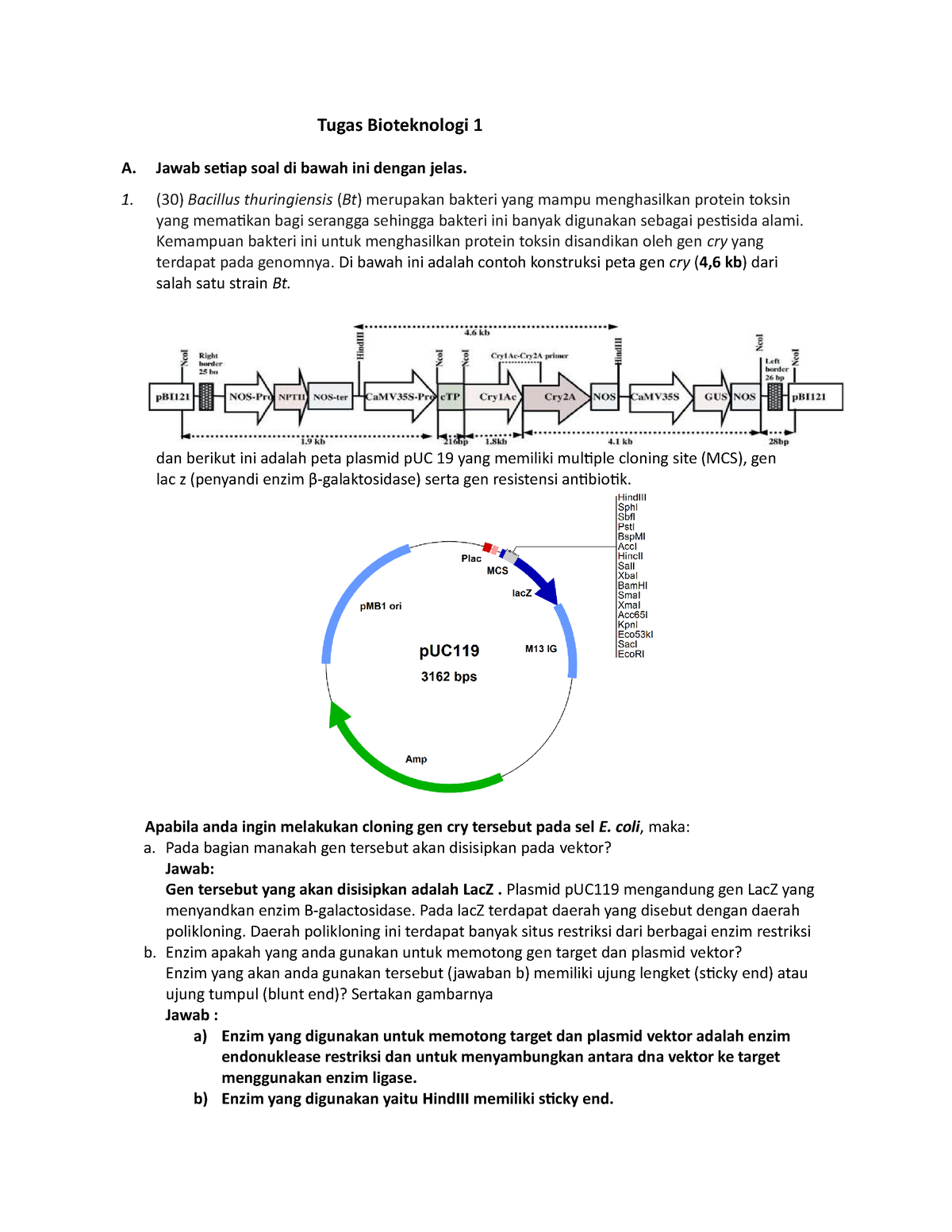 Bioteknologi - Tugas Bioteknologi 1 - Tugas Bioteknologi 1 A. Jawab ...