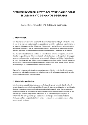 Protocolo salinidad crecimiento girasoles - DETERMINACIÓN DEL EFECTO DEL  ESTRÉS SALINO SOBRE EL - Studocu