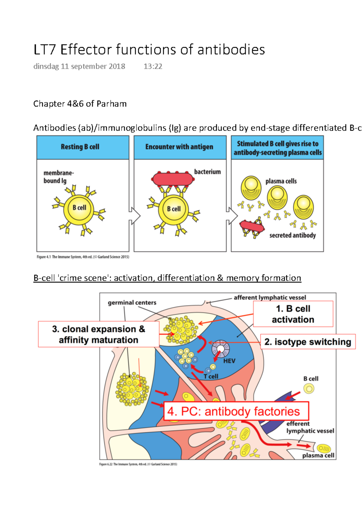 LT7 Effector Functions Of Antibodies - LT7 Effector Functions Of ...