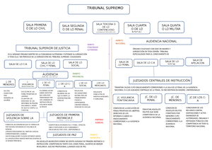 Derecho Y Organización Del Estado - Apuntes - Derecho Y Organización ...