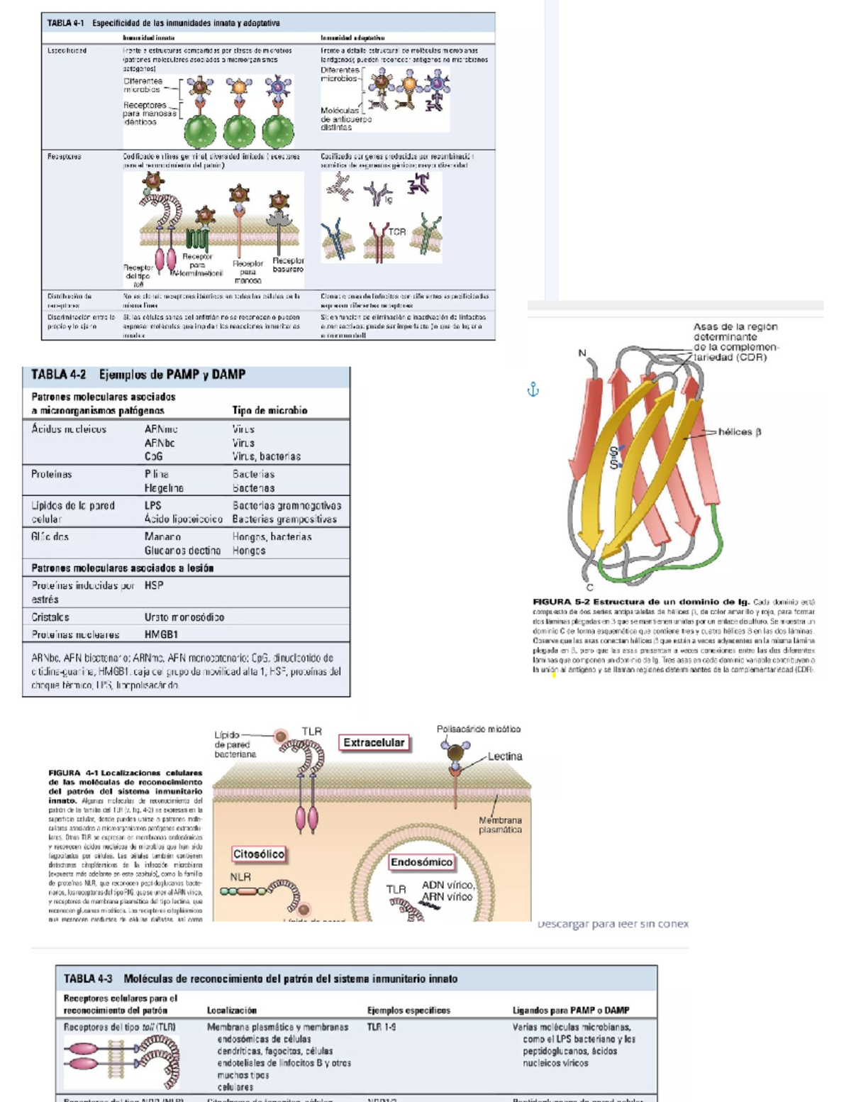 Imagenes 1 - ..... - TABLA Especificidad de las inmunidades innata y ...