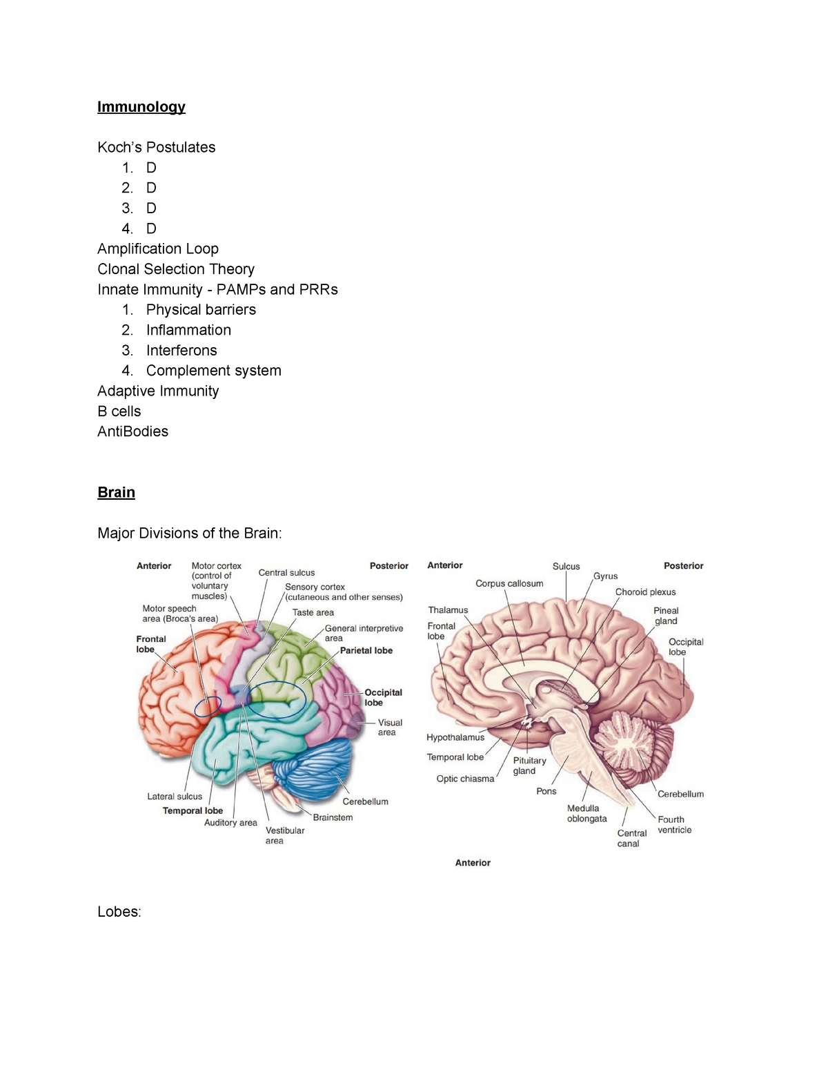 BIOL 336 - Exam 2 Notes - Immunology Koch’s Postulates 1. D 2. D 3. D 4 ...