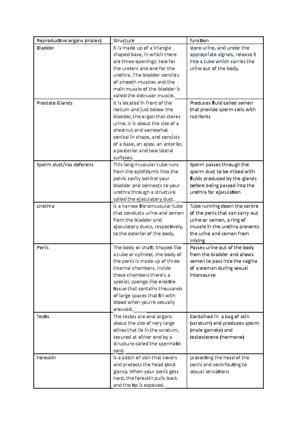 Reproductive system assignment - Reproductive organs (males) Structure ...