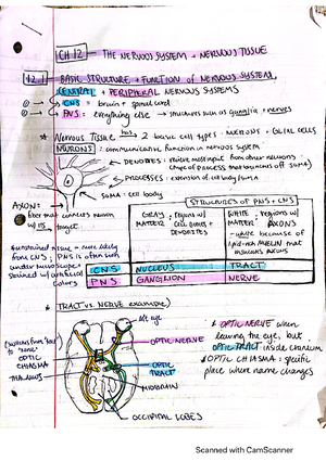 Mnemonics - This document consists of the first part of anatomy notes ...