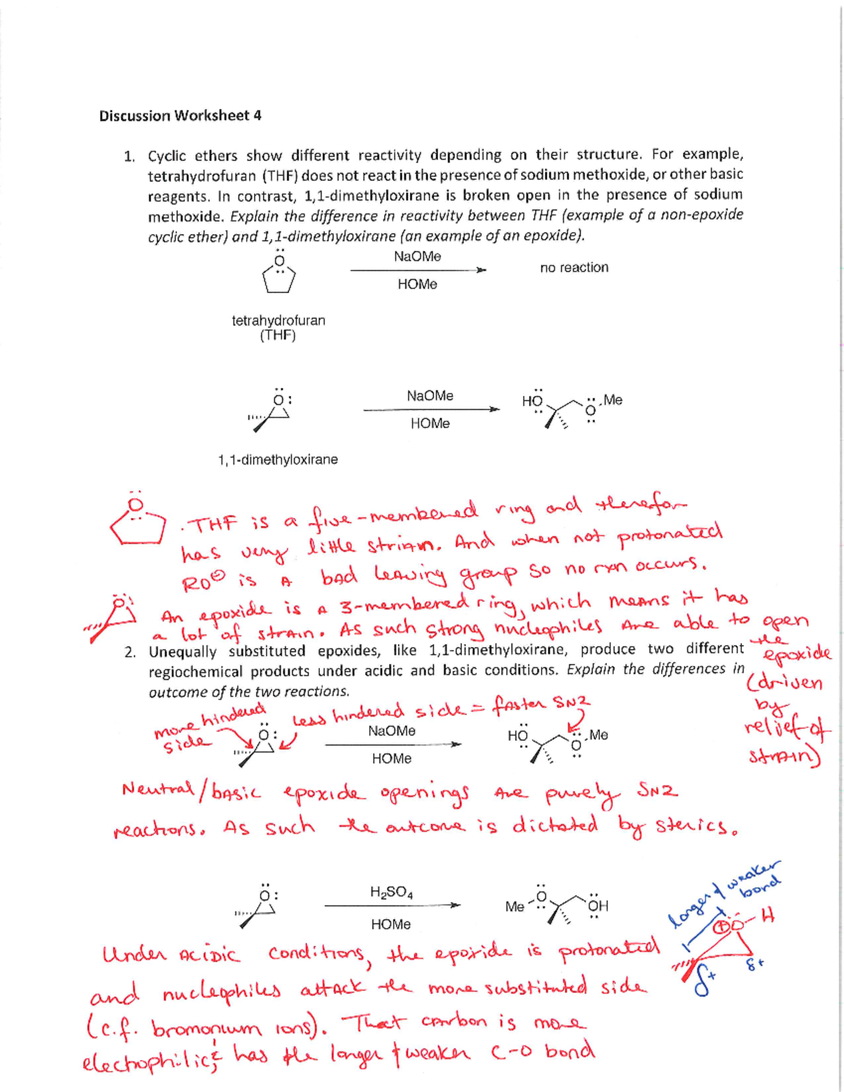 Discussion Worksheet 4 KEY - CAS CH 204 - Studocu