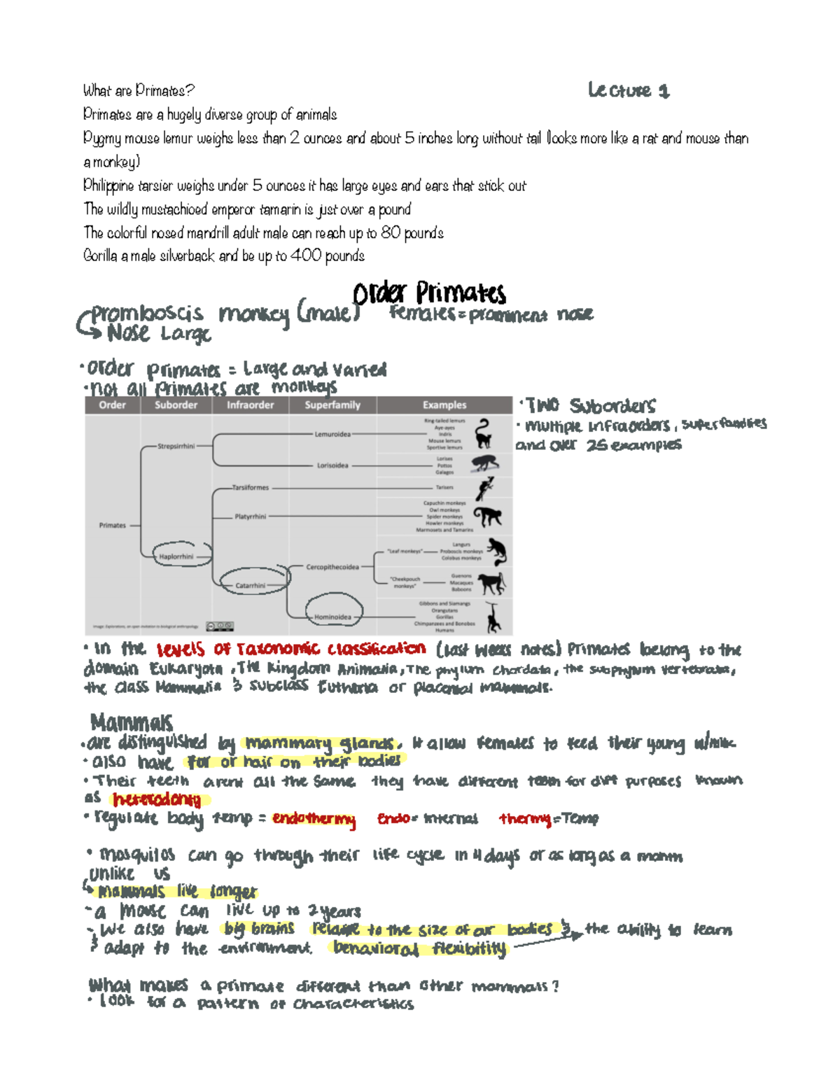 Anthro notes #2 - ANTH 2401 - What are Primates? Primates are a hugely ...