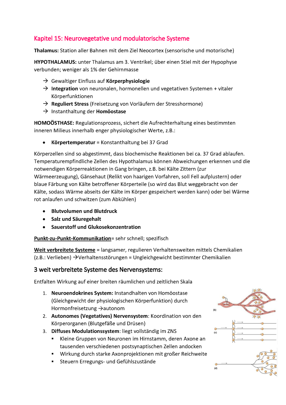 Zusammenfassung Biologische Psychologie 2 - Kapitel 15 ...