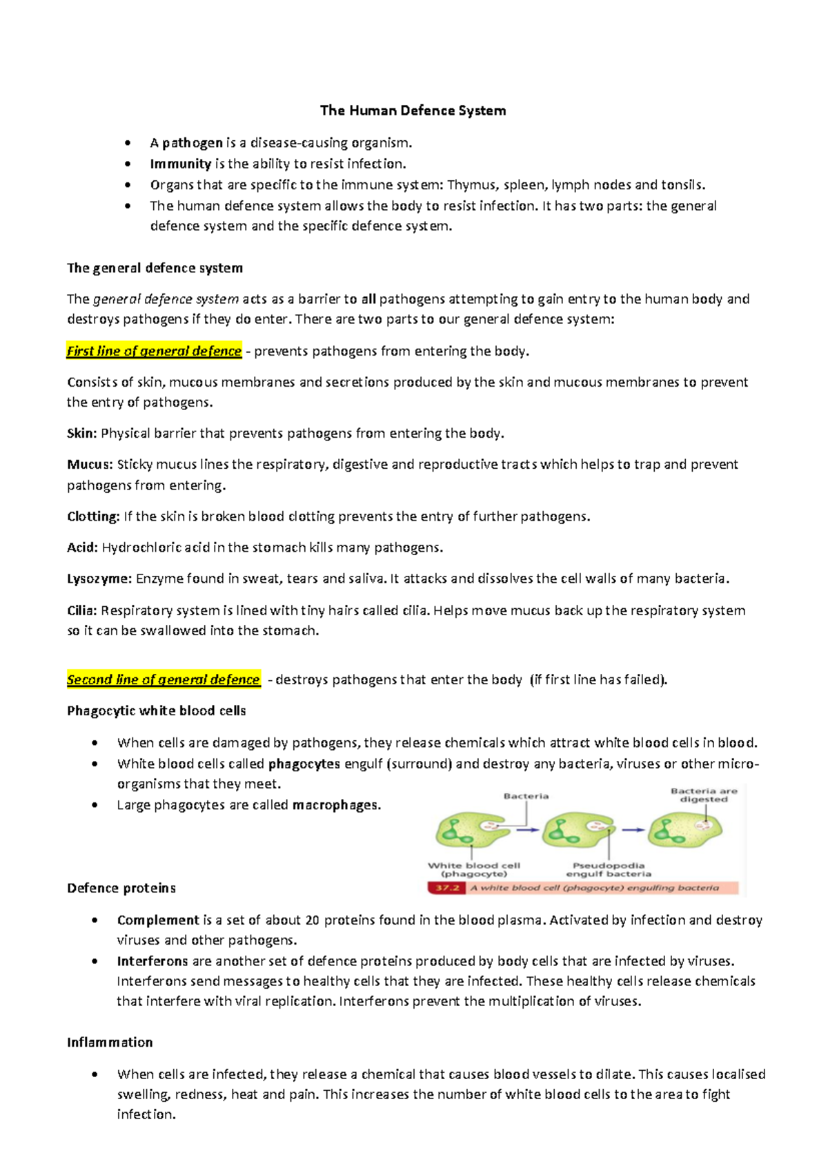 Human defence system - Ms Corcoran’s old notes - The Human Defence ...