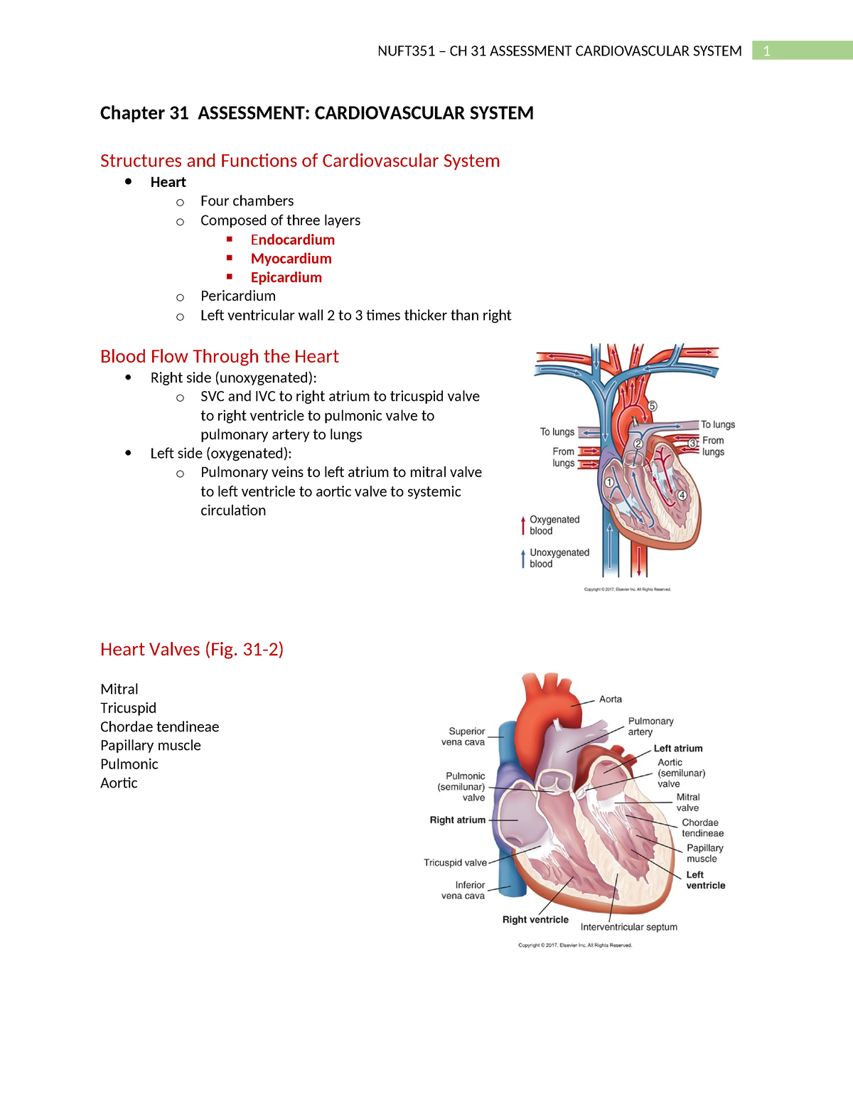 Chapter 31 Assessment - Chapter 31 ASSESSMENT: CARDIOVASCULAR SYSTEM ...