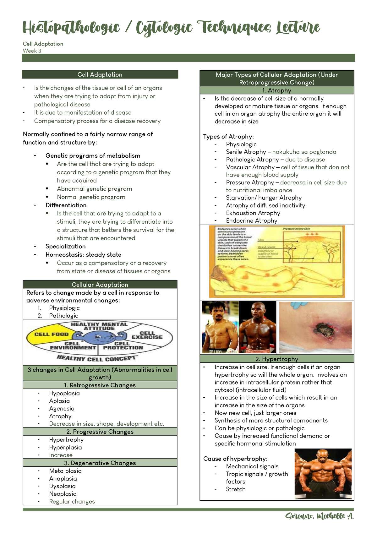 Week 3 Cell Adaptation - Cell Adaptation Week 3 Cell Adaptation Is the ...