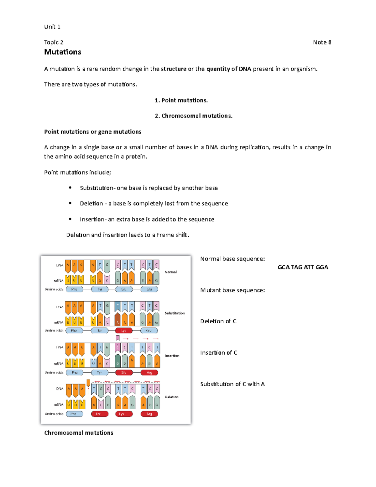 Mutation - Alevel Biology Notes - Unit 1 Topic 2 Note 8 Mutations A ...