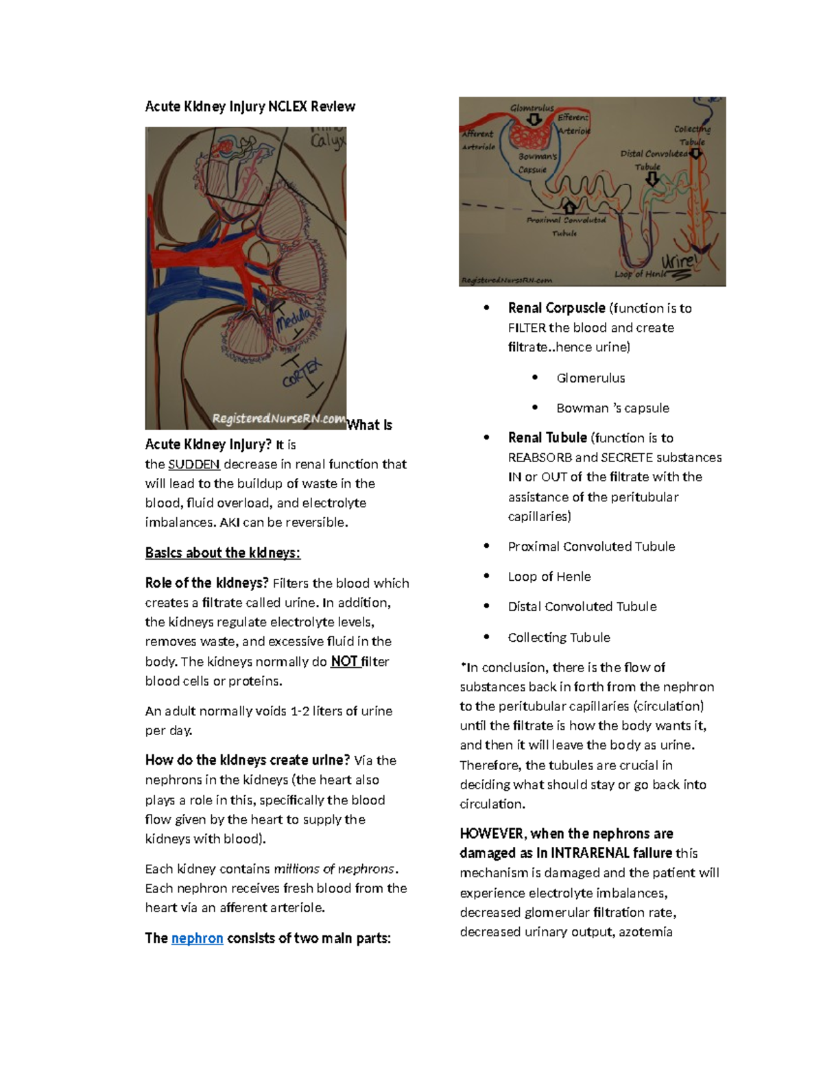 Acute Kidney Injury - Kid - Acute Kidney Injury NCLEX Review What is ...