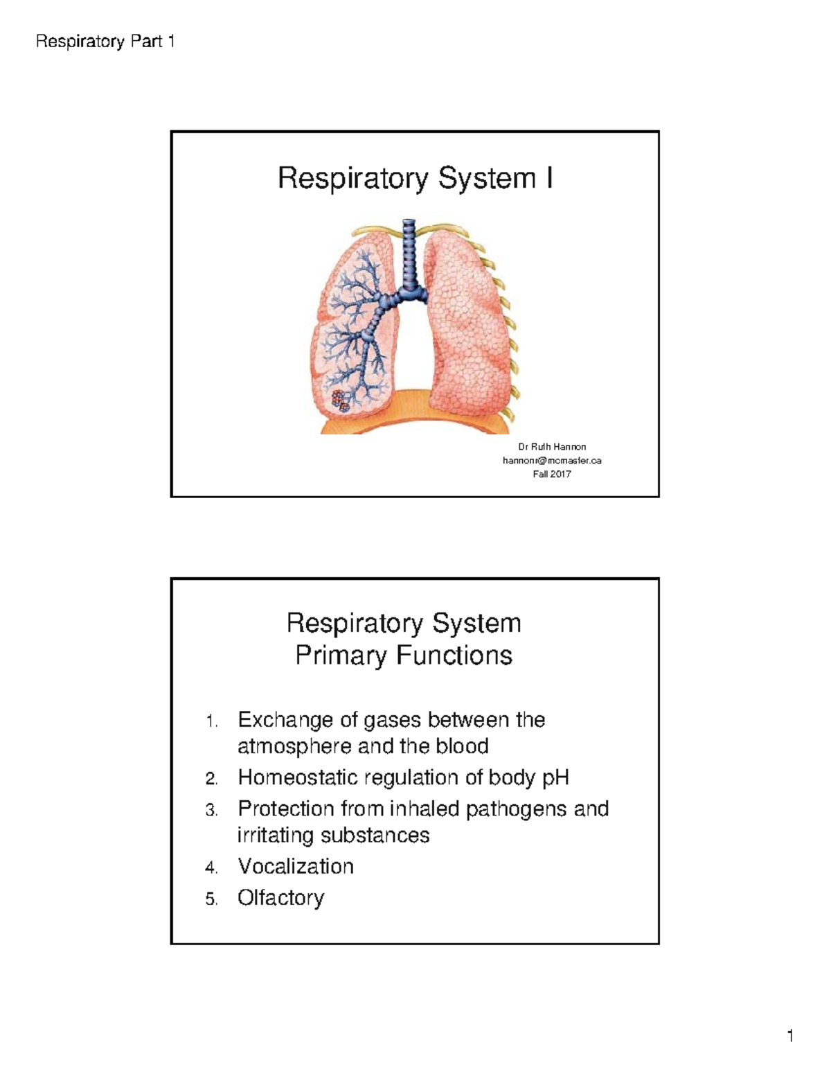 2017 Respiratory System I Handout-2 - Respiratory Part 1 Respiratory ...