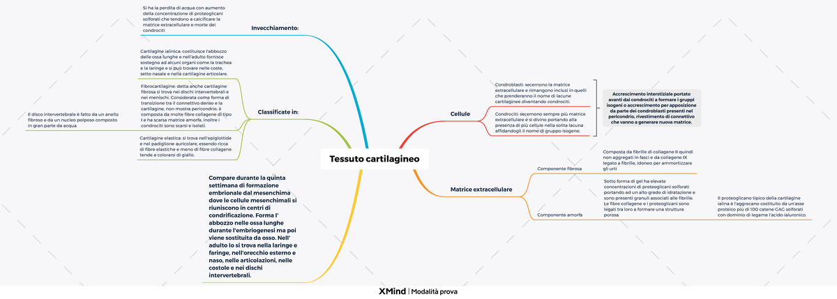 mappa concettuale del tessuto connettivo