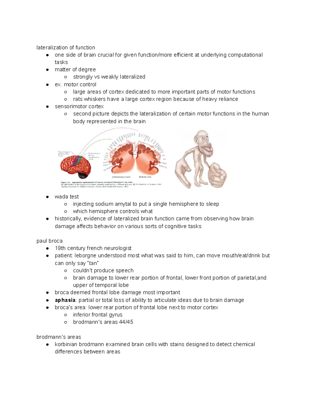 cogs-1-intro-to-cognitive-science-lecture-8-8-lateralization-of