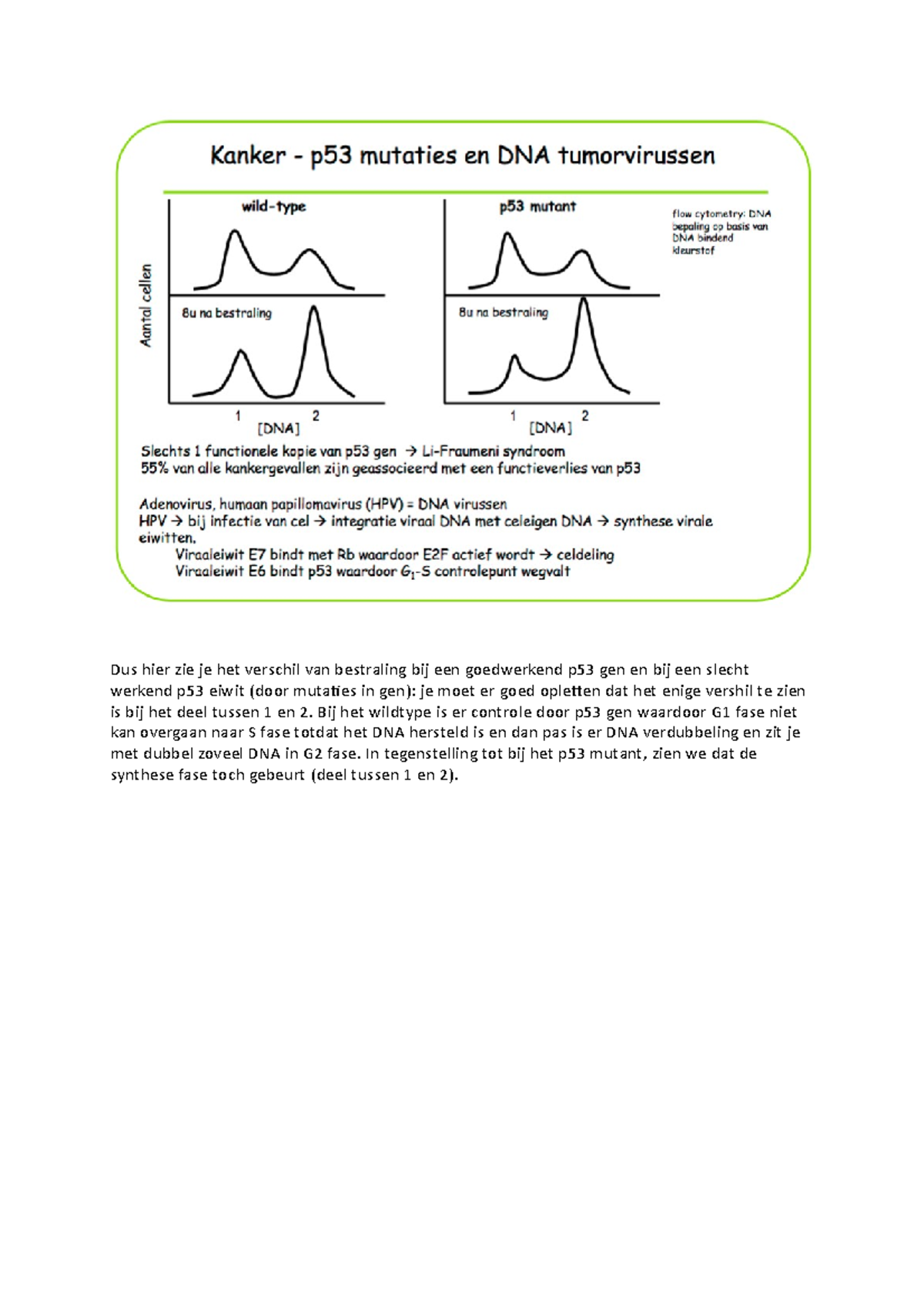 P53 en mitose entry Samenvatting Celbiologie