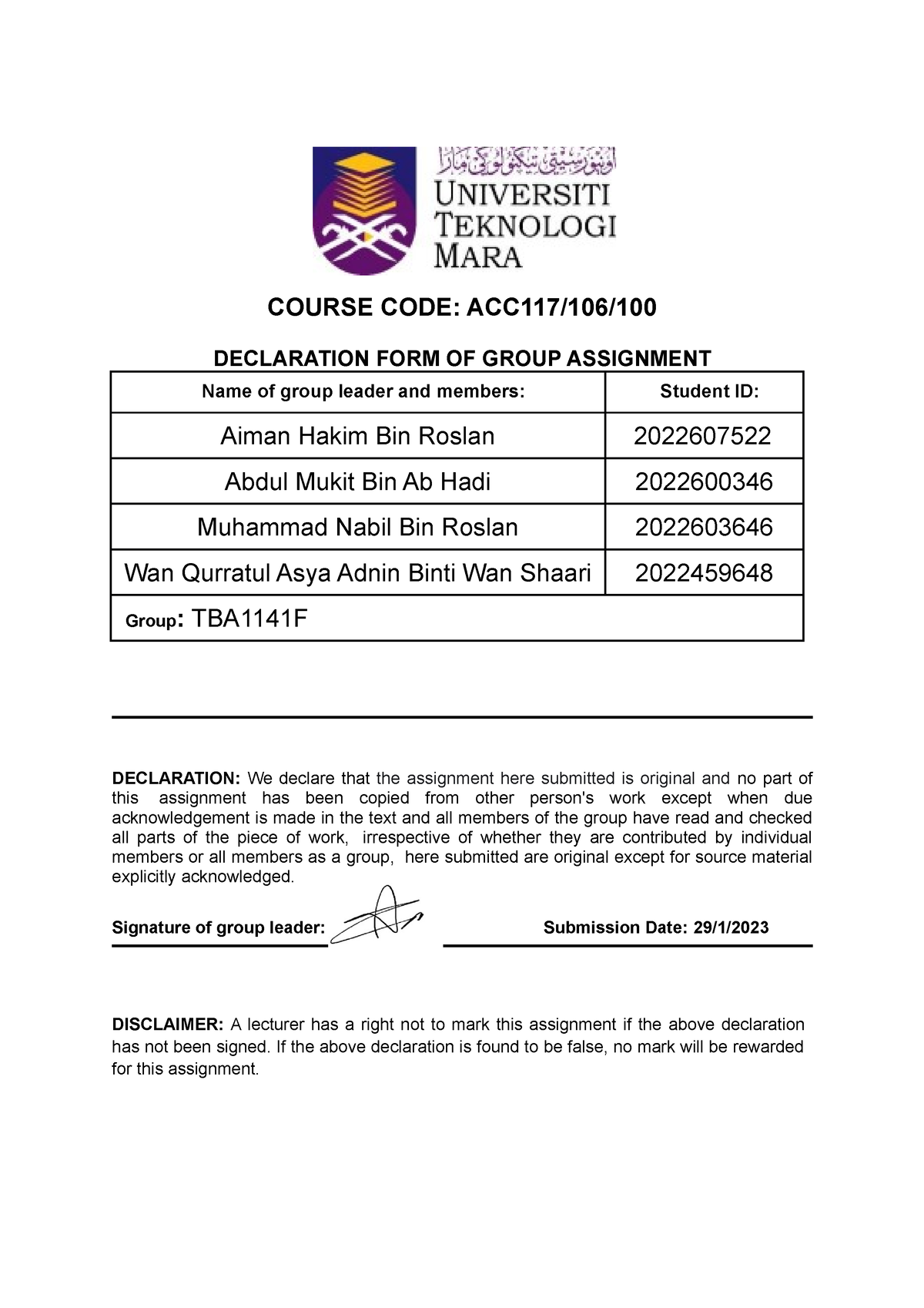 acc117 group assignment