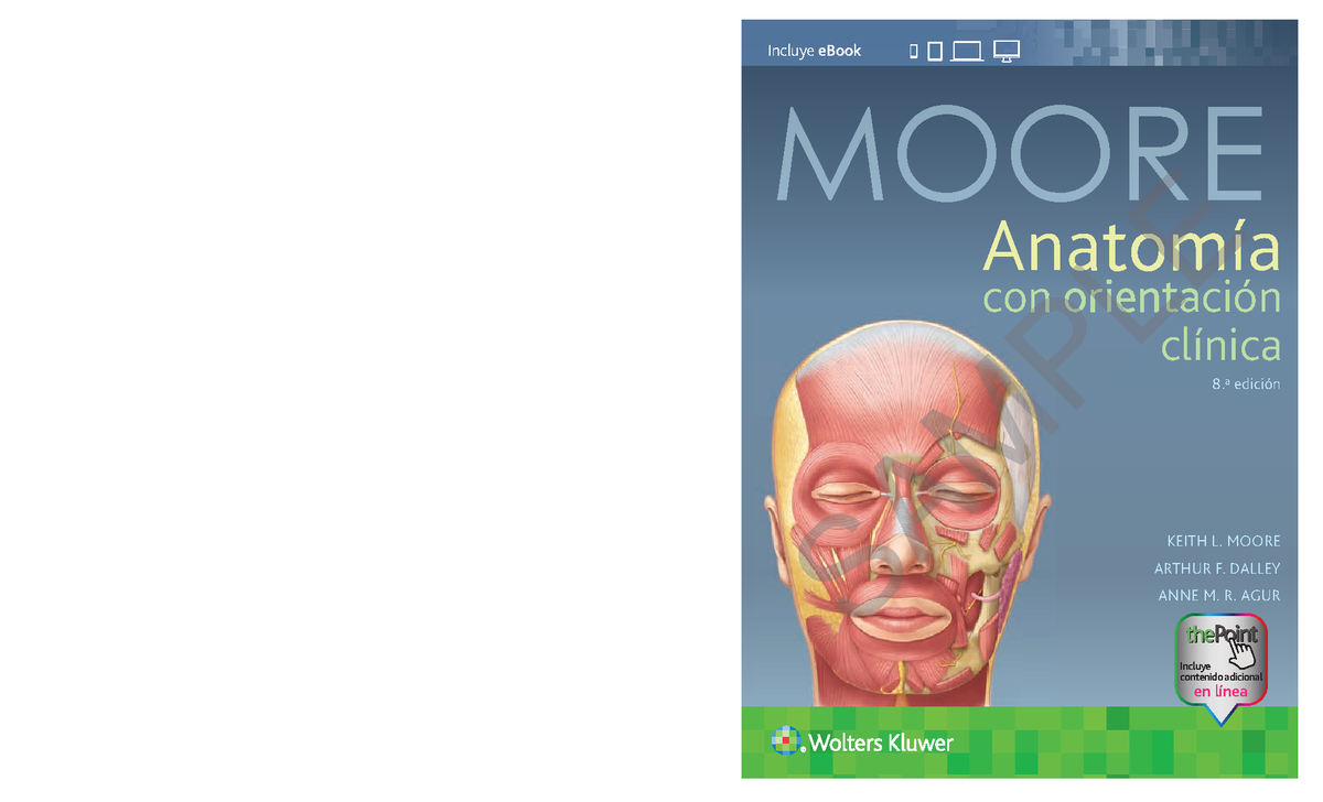 Anatomia con oritacion clinica 8a edicio - 8.ª edición KEITH L. MOORE