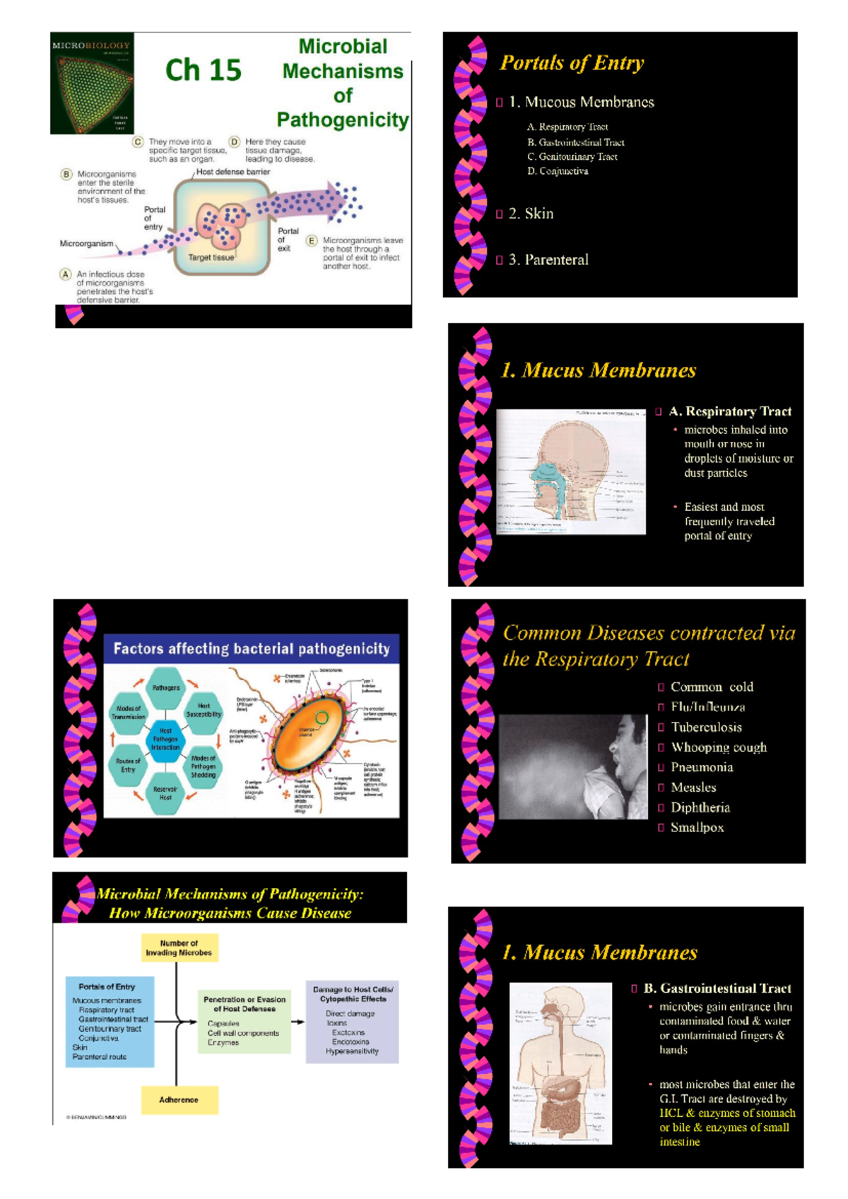 Chapter 15 micro - MICROBIOLOGY Microbial Ch 15 Mechanisms Portals of ...