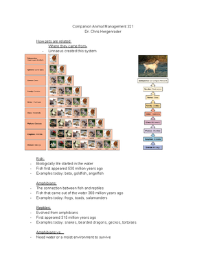 FAS-Scale final-2022 - FAS-Scale_final-2022. - MODERATE FAS LOW FAS ...