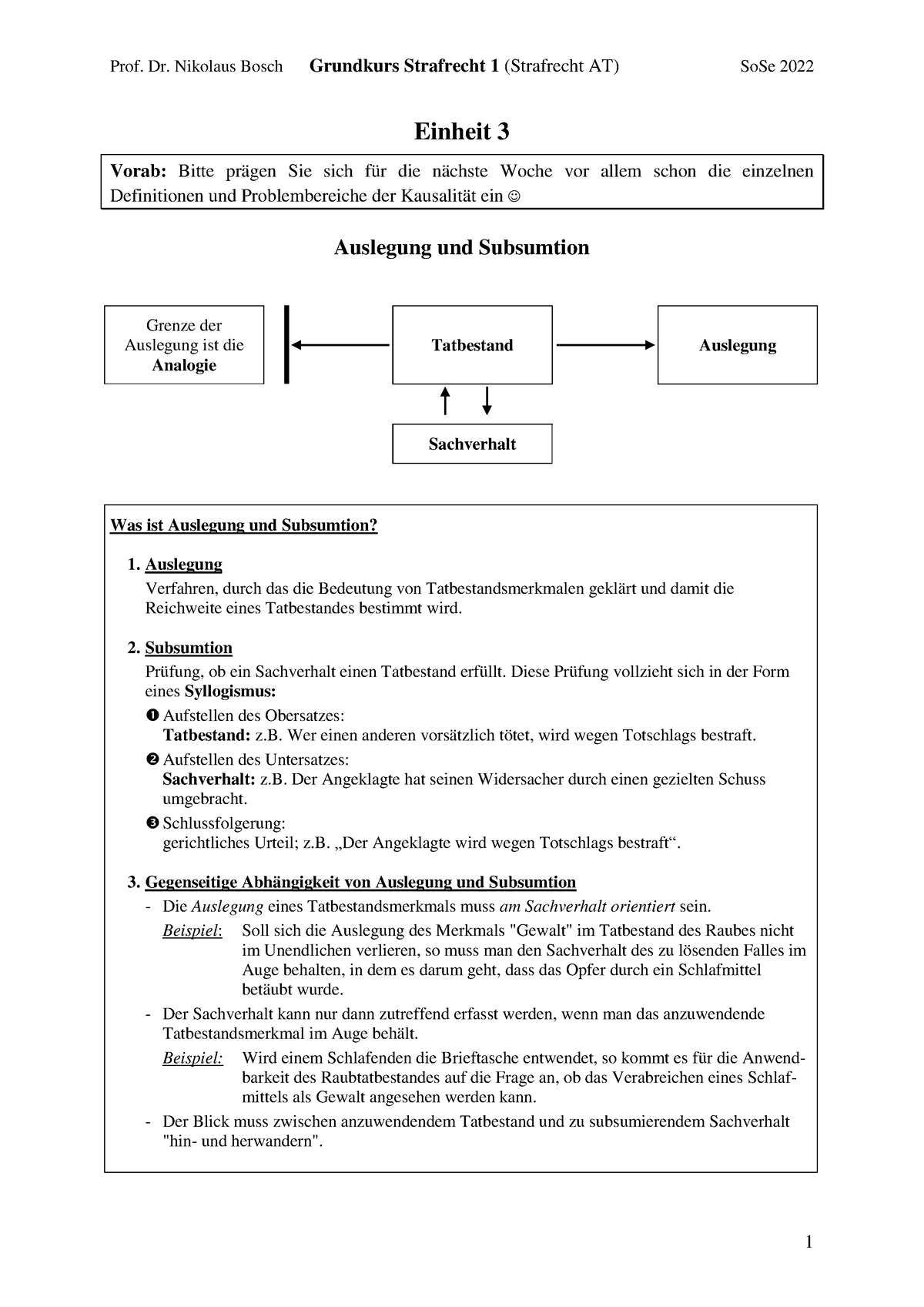 3. Auslegung U. Subsumtion - Prof. Dr. Nikolaus Bosch Grundkurs ...